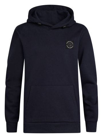 Petrol Industries Rückenprint Hoodie Rainier in Blau