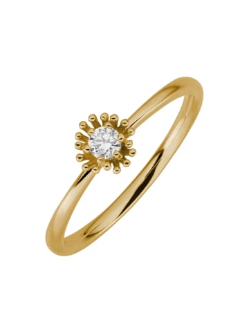 Lyomi 585/- Gold in gelb