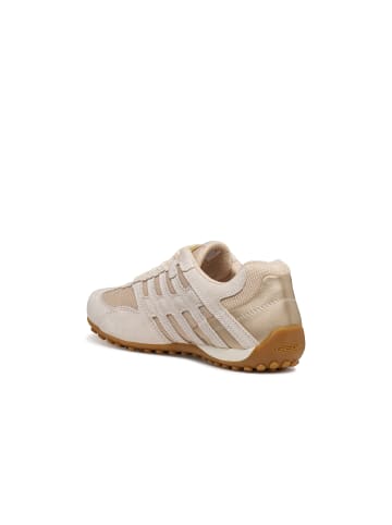 Geox Sneaker in beige