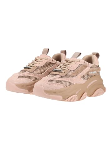 Steve Madden Sneaker POSSESSION-E in Beige/Rosa