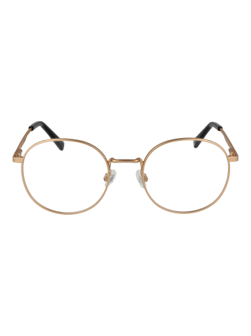 Pepe Jeans Männer Optische Fassungen Panto Gold