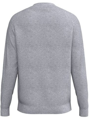 erima Kinder Sweatshirt "Cmpt Wings Sweatshirt" in Grau