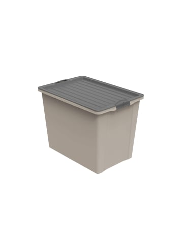 Rotho COMPACT stapelbare 70l Aufbewahrungskiste mit Deckel und Rollen in Cappuccino