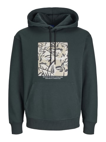 Jack & Jones Kapuzenpullover in Forest River