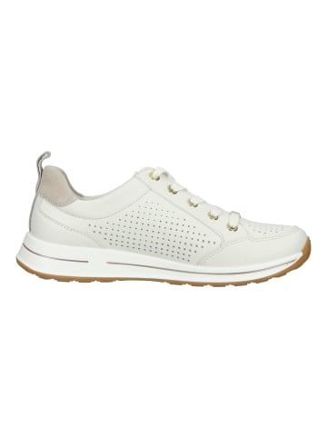 ara Sneaker in Cream