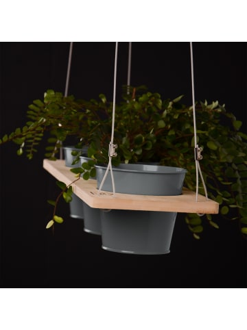 UNUS Kräuterregal, Pflanzenhalter in Natur