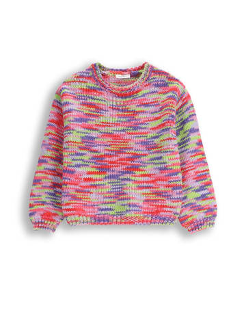 Coccodrillo Strickpullover in bunt