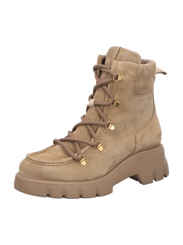 Paul Green Schnürboots in Beige