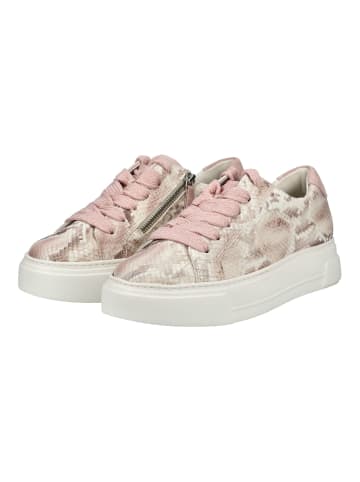 Paul Green Sneaker in Rose