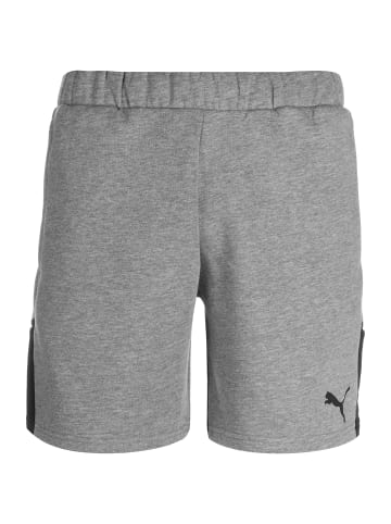 Puma Trainingsshorts TeamCUP Casuals in hellgrau / schwarz