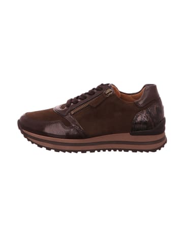 Gabor Sneaker Low in chocolate