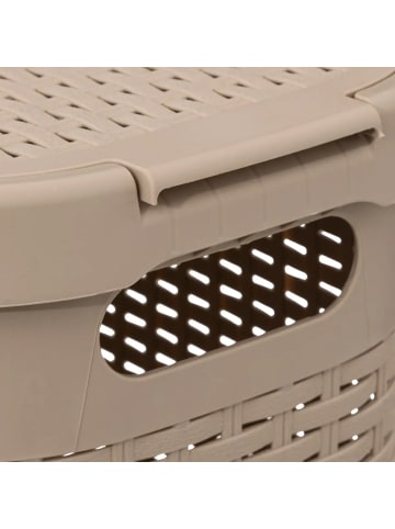 5five Simply Smart Wäschekorb aus Kunststoff, 40 l in Beige, (B) 26,5 x (H) 60,5 x (L) 46,4 cm