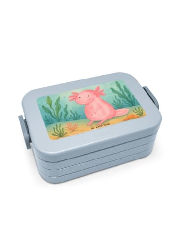 Mr. & Mrs. Panda Bento Box Axolotl Niedlich Design ohne Spruch in Blau Pastell