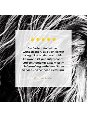 MuchoWow Leinwand bilder Schottisches Hochlandrind (BxH)