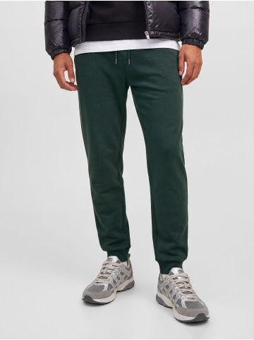 Jack & Jones Jogginghose in Scarab