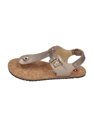 KOEL Sandalen ARIANA METALLIC in natur