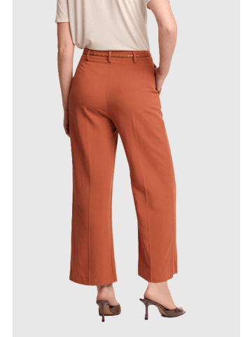 KOCCA Hose 10913481523542