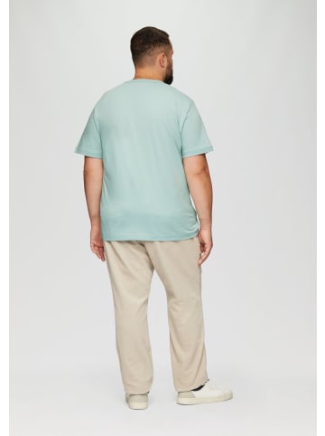 s.Oliver T-Shirt in 72D2_salbeigrün