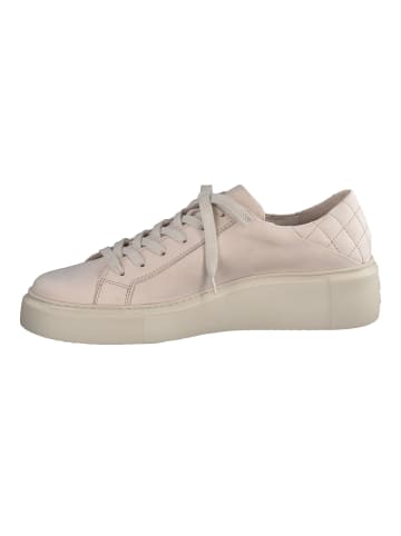 Paul Green Sneaker in Beige