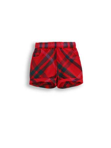 Coccodrillo Elegante Stoffshorts in bunt