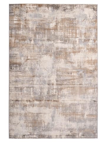 obsession Teppich Sail 701 in taupe - rechteckig