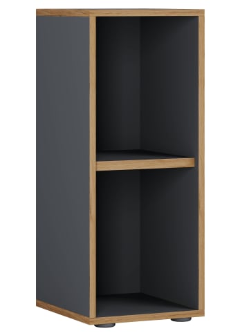VCM  Holz Büro Regal Bücher Ordner Aktenregal Salia 2f in Anthrazit