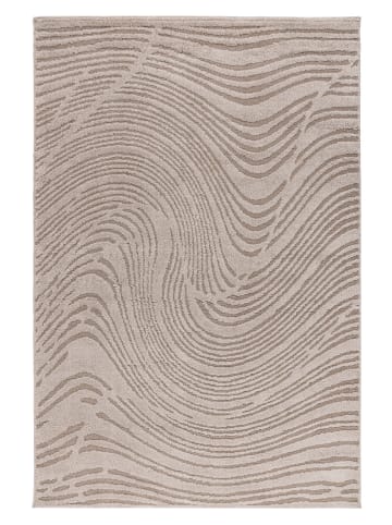 Vivorum Vivorum Neu 2026 Wohnzimmer Kurzflor Teppich Demonstrate 125 beige in beige