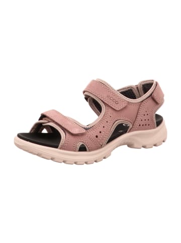 Ecco Komfort Sandalen in Rosa