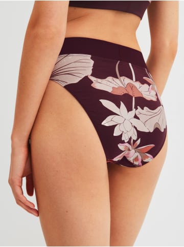 Calida Slip in black cherry