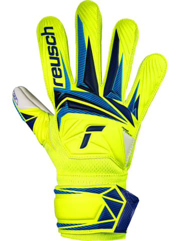 Reusch Torwarthandschuhe Attrakt Grip Junior in 2005 safe yellw/sharp blue