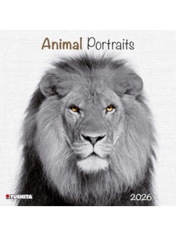 TUSHITA Kalender - Animal Portrait 2026