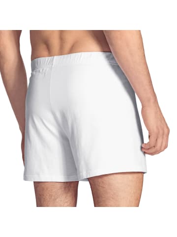 Calida Boxershort in Weiß