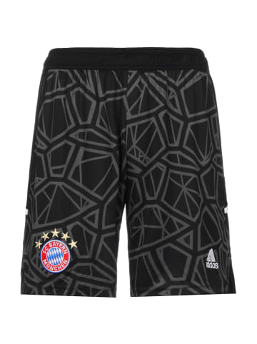 adidas Performance Trainingsshorts FC Bayern München 22/23 in schwarz / dunkelgrau