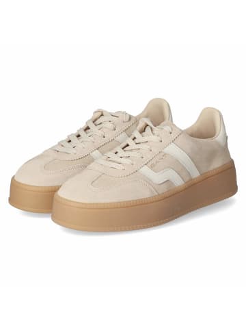 Gant Low Sneaker CUZMANI in beige