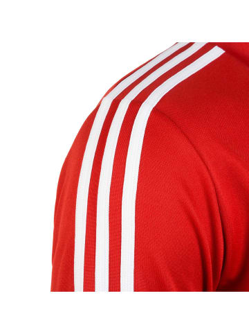 adidas Performance Longsleeve Tiro 19 in rot / weiß