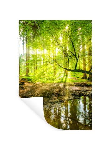 OnlyWow Wandtattoo Waldlicht
