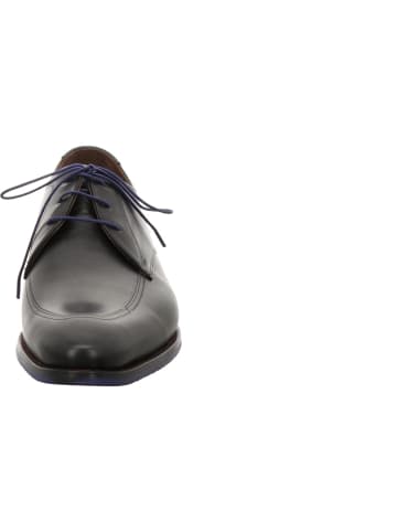 Floris van Bommel Schnürschuhe in schwarz