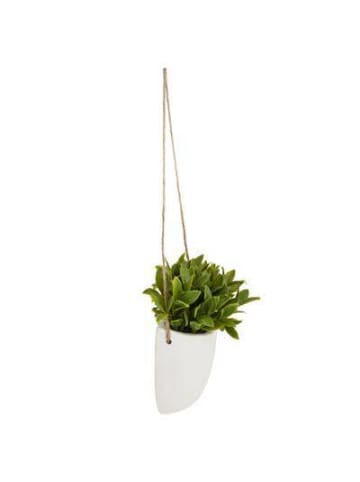 Atmosphera Créateur d'intérieur Kunstpflanze in weiß