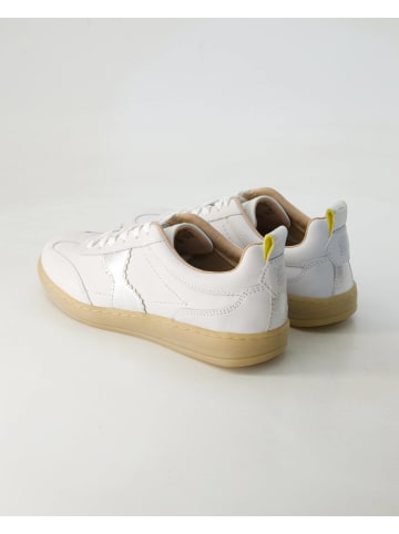 SALAMANDER Sneaker low in Beige