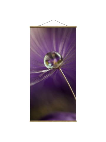 WALLART Stoffbild mit Posterleisten - Pusteblume in Violett in Violett