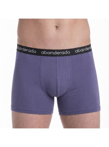 Abanderado 2er-Set: Boxershorts in Multicolored