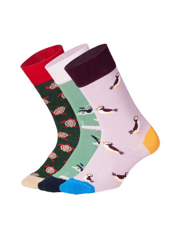 DillySocks Socken Ocean Enthusiasts in Mehrfarbig