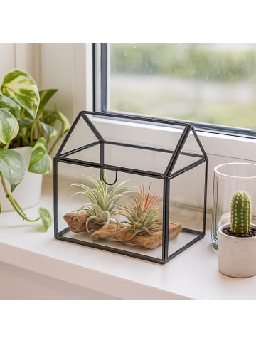 relaxdays Pflanzenterrarium "Haus" in Schwarz - (B)16 x (H)16 x (T)11,5 cm