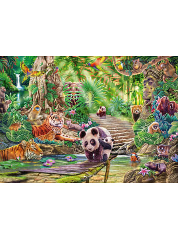 Schmidt Spiele Asiatische Tierwelt (Puzzle) | Erwachsenenpuzzle Steve Sundram 1.000 Teile -...