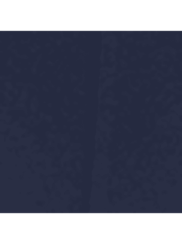 Hessnatur Slip Regular Cut in dunkelblau