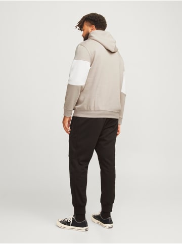 JACK & JONES PLUS Kapuzenpullover in Moonbeam