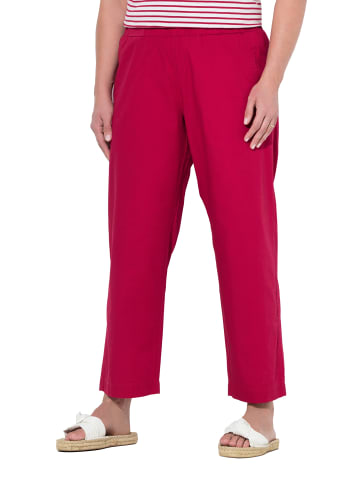 Ulla Popken Chino in dunkle himbeere