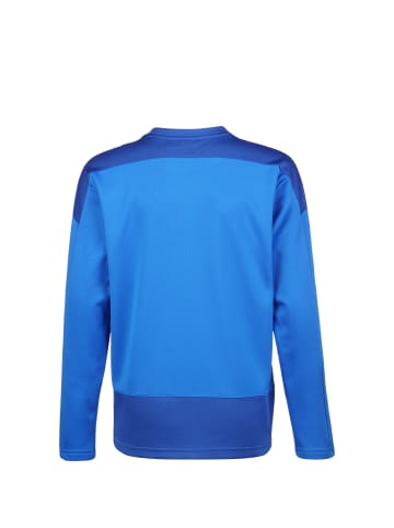 Puma Sweatshirt TeamGOAL 23 in blau / dunkelblau