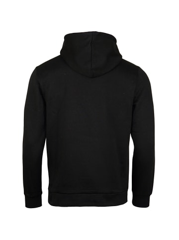 Only&Sons Hoodie 'CHASE' in mehrfarbig