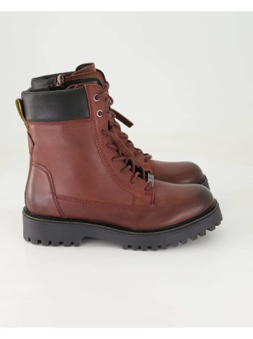 SALAMANDER Klassische Stiefeletten in Bordeaux